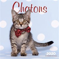 Wyman Publishing, 2020 Chatons Kittens Mini Wall Calendar (French)