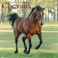 2020 Wall Calendar Horses (in French)