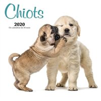 2020 Wall Calendar Puppies (in French)