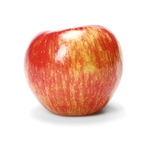 Organic Honeycrisp Apple thumbnail