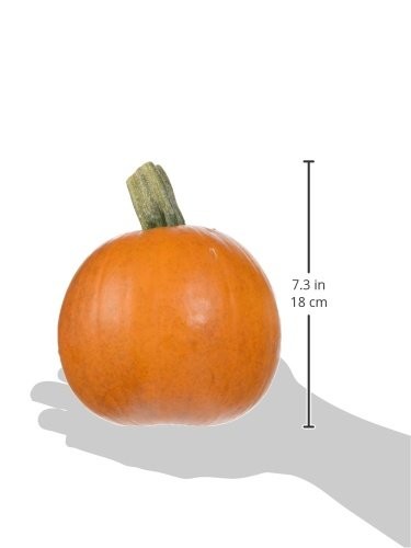 Sugar Pie Pumpkin (Approx. 2-4 Lbs.) thumbnail