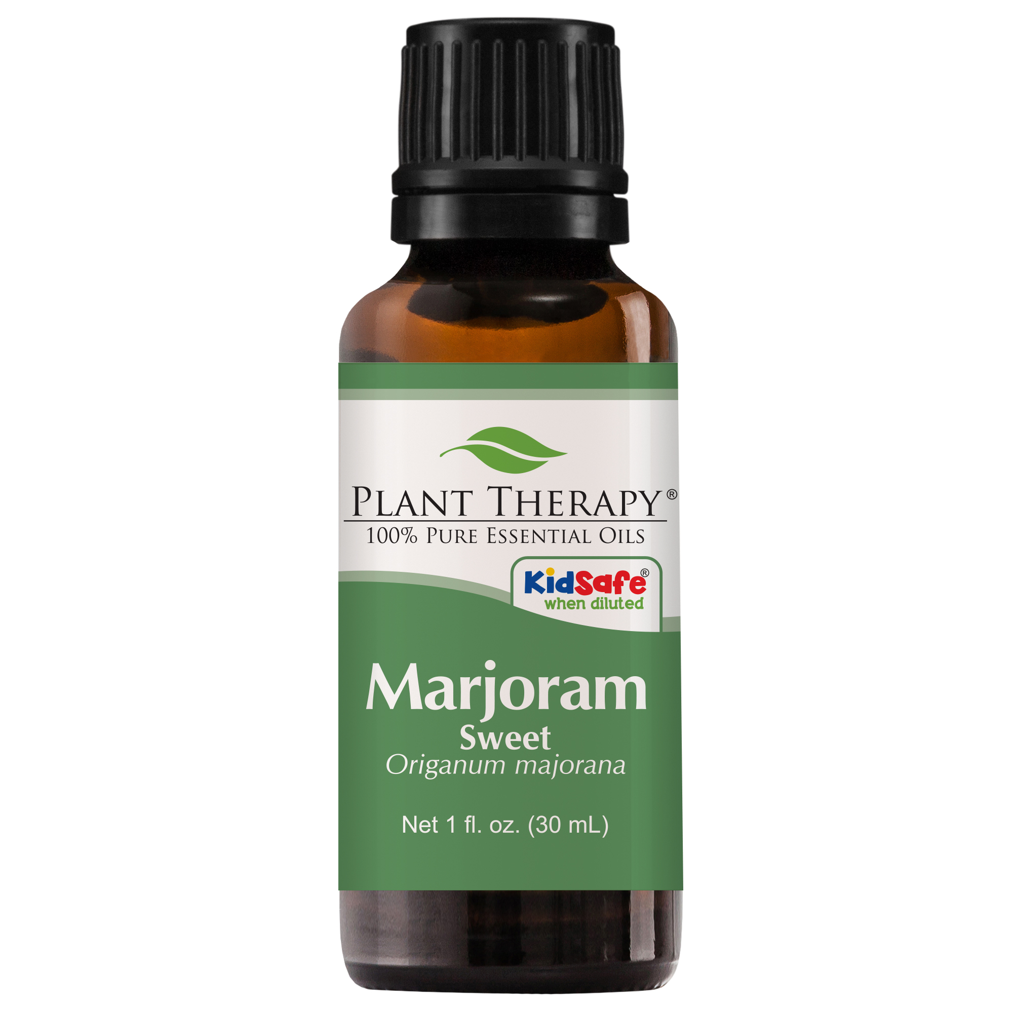 Plant Therapy Marjoram Sweet Essential Oil 100% Pure  Undiluted  Natural Aromatherapy  Therapeutic Grade 30 ML (1 Oz)