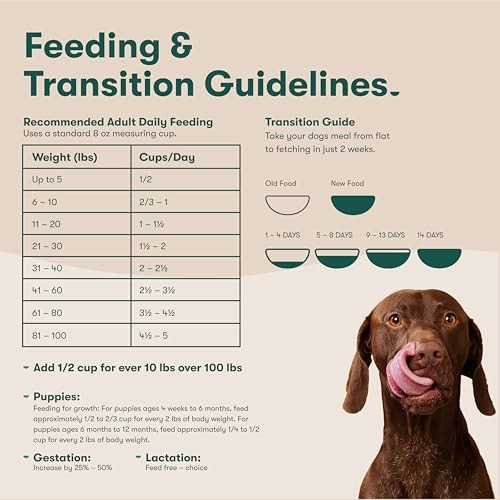 Jinx Premium Grain-Free Dry Dog Food, for All Lifestages - Grass-Fed Lamb, Sweet Potato & Carrot Dog Food with Superfoods for Immune Support & Probiot thumbnail