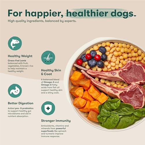 Jinx Premium Grain-Free Dry Dog Food, for All Lifestages - Grass-Fed Lamb, Sweet Potato & Carrot Dog Food with Superfoods for Immune Support & Probiot thumbnail