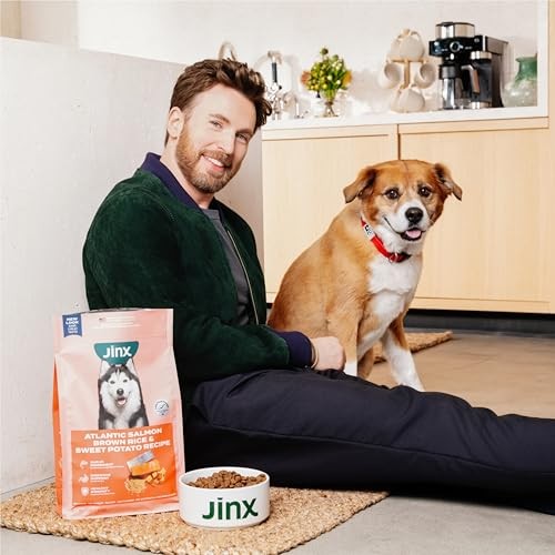 Jinx Premium Grain-Free Dry Dog Food, for All Lifestages - Grass-Fed Lamb, Sweet Potato & Carrot Dog Food with Superfoods for Immune Support & Probiot thumbnail