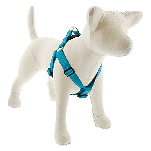 Lupine Basics Step in Dog Harness 1