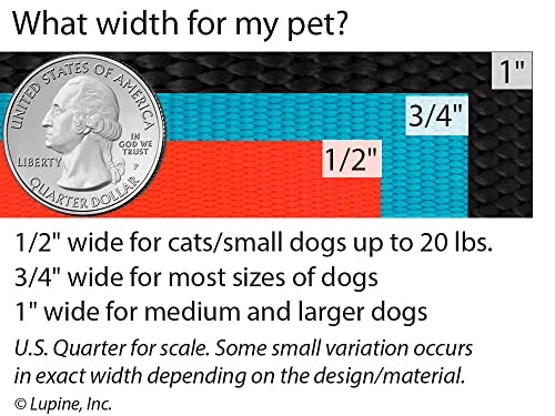 Lupine Basics Step in Dog Harness 1