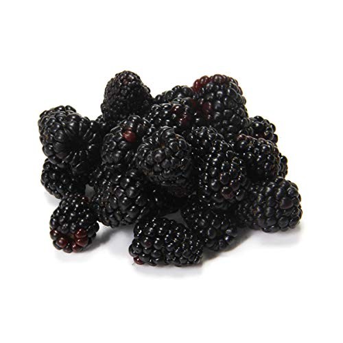 Organic Blackberries, 6 Oz