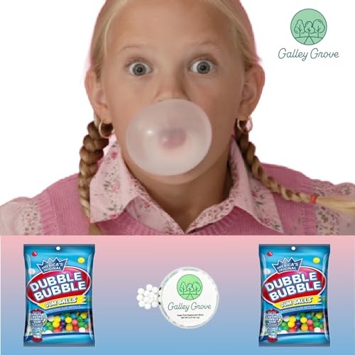 Dubble Bubble Mini Gumball Machine Refills 4.4 Oz Bag (2-Pack), 1/2 Inch 13mm Assorted Fruit Flavor Bubble Gum, Bundle with Galley Grove Sugar-Free Br thumbnail