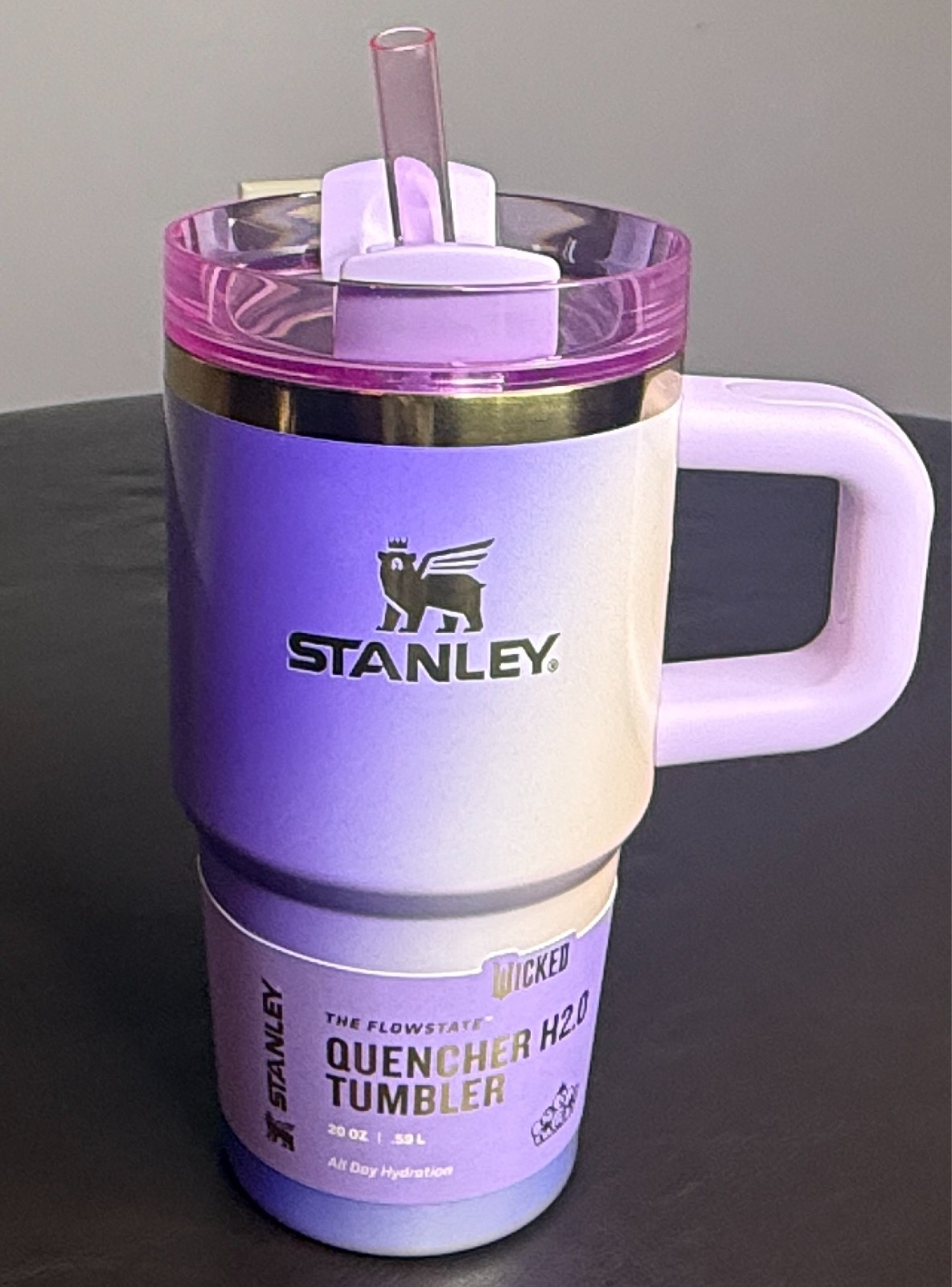 X Stanley X Wicked for Good FlowState Quencher Tumbler 20 Oz Glinda