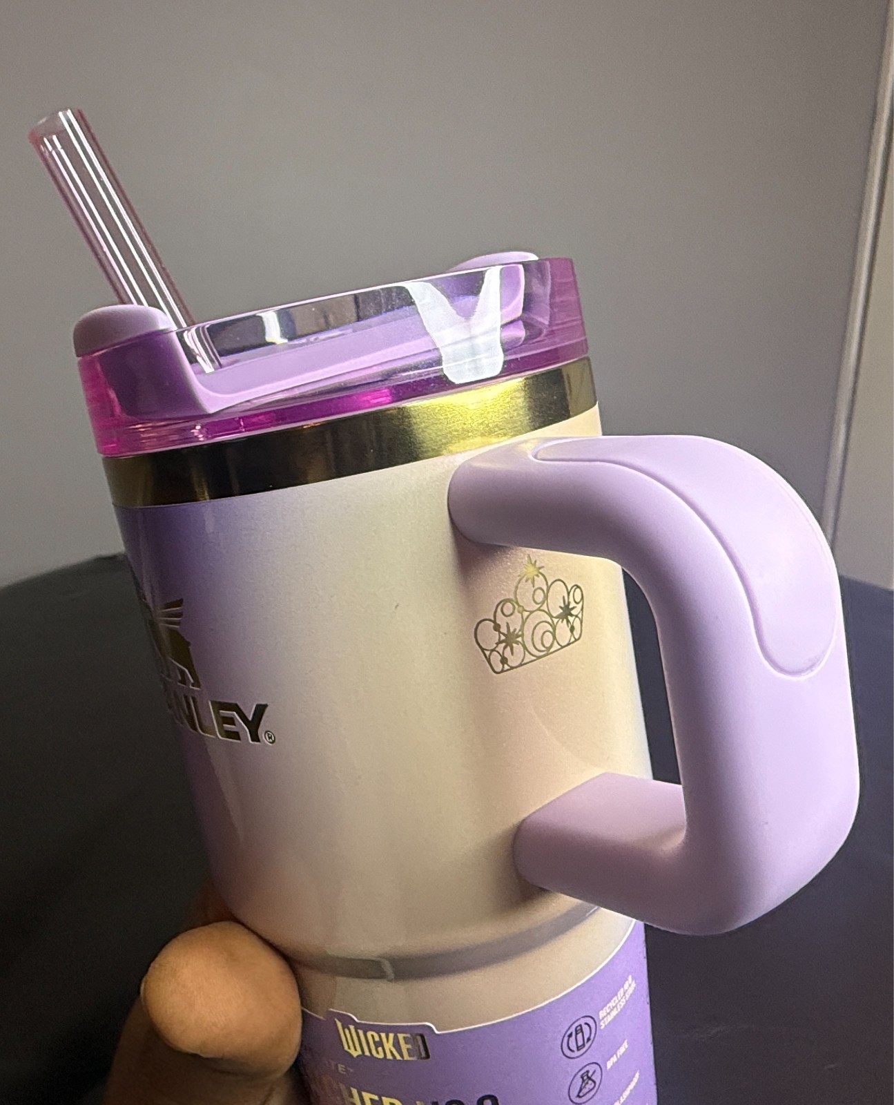 X Stanley X Wicked for Good FlowState Quencher Tumbler 20 Oz Glinda