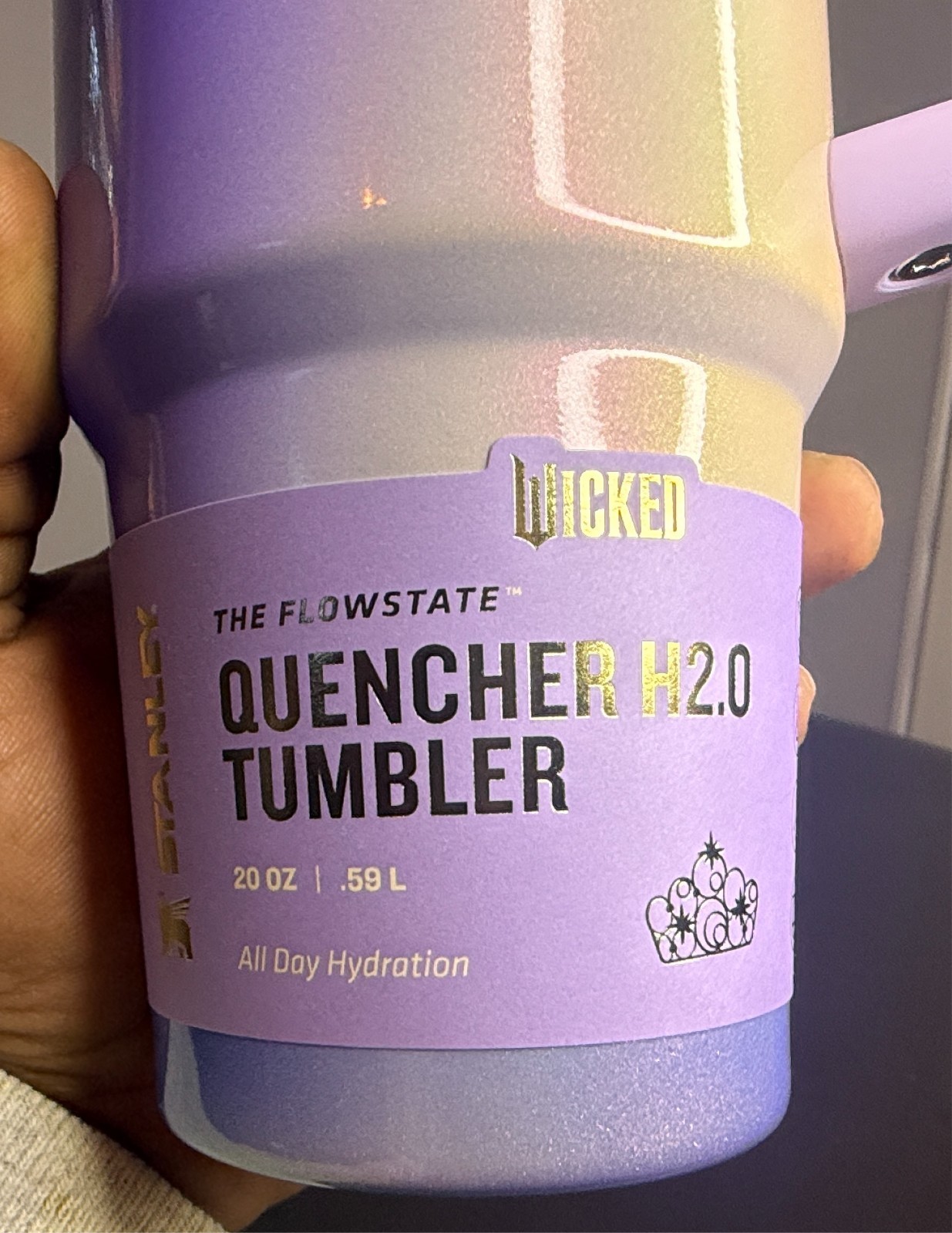 X Stanley X Wicked for Good FlowState Quencher Tumbler 20 Oz Glinda