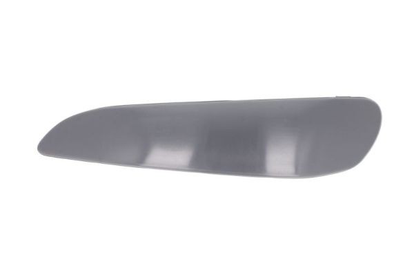BLIC 5513-00-8101925Q Trim-/Protection Strip, Bumper Left Front