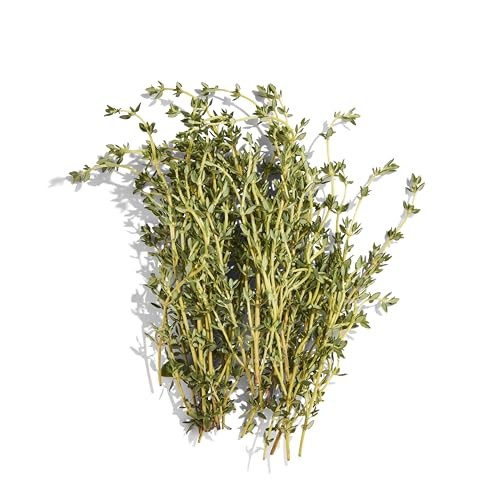 PRODUCE Organic Thyme, 0.5 OZ