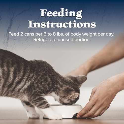 Blue Buffalo Wilderness Adult Wet Cat Food, Natural High-Protein and Grain-Free Recipe, Duck Paté Recipe, 3oz Cans, 4Pack Trial Size thumbnail