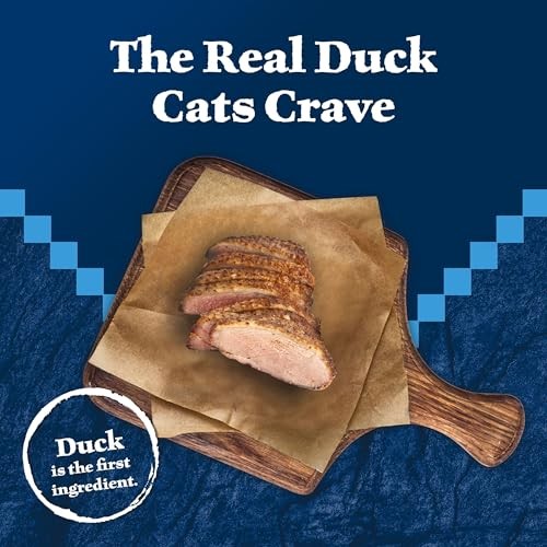 Blue Buffalo Wilderness Adult Wet Cat Food, Natural High-Protein and Grain-Free Recipe, Duck Paté Recipe, 3oz Cans, 4Pack Trial Size thumbnail
