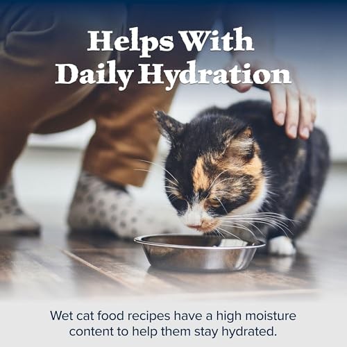Blue Buffalo Wilderness Adult Wet Cat Food, Natural High-Protein and Grain-Free Recipe, Duck Paté Recipe, 3oz Cans, 4Pack Trial Size thumbnail