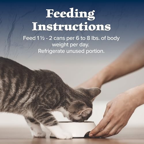 Blue Buffalo Wilderness Wet Adult Cat Food, Natural High-Protein and Grain-Free Recipes, Chicken and Duck Paté, 3oz Cans, 4-Count Variety Pack Trial  thumbnail