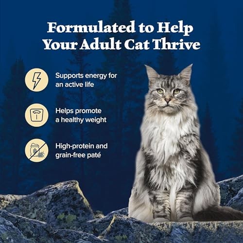 Blue Buffalo Wilderness Wet Adult Cat Food, Natural High-Protein and Grain-Free Recipes, Chicken and Duck Paté, 3oz Cans, 4-Count Variety Pack Trial  thumbnail