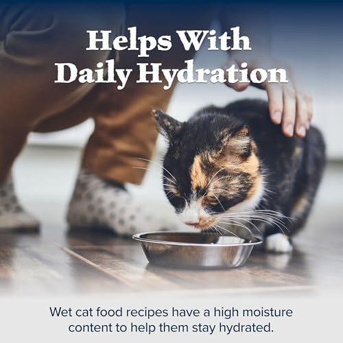 Blue Buffalo Wilderness Wet Adult Cat Food, Natural High-Protein and Grain-Free Recipes, Chicken and Duck Paté, 3oz Cans, 4-Count Variety Pack Trial  thumbnail