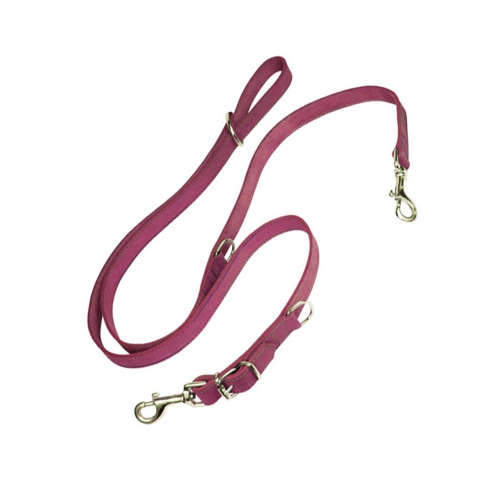 Dog Lead Gloria Oasis Multiple 2.1 X 200 Cm Pink