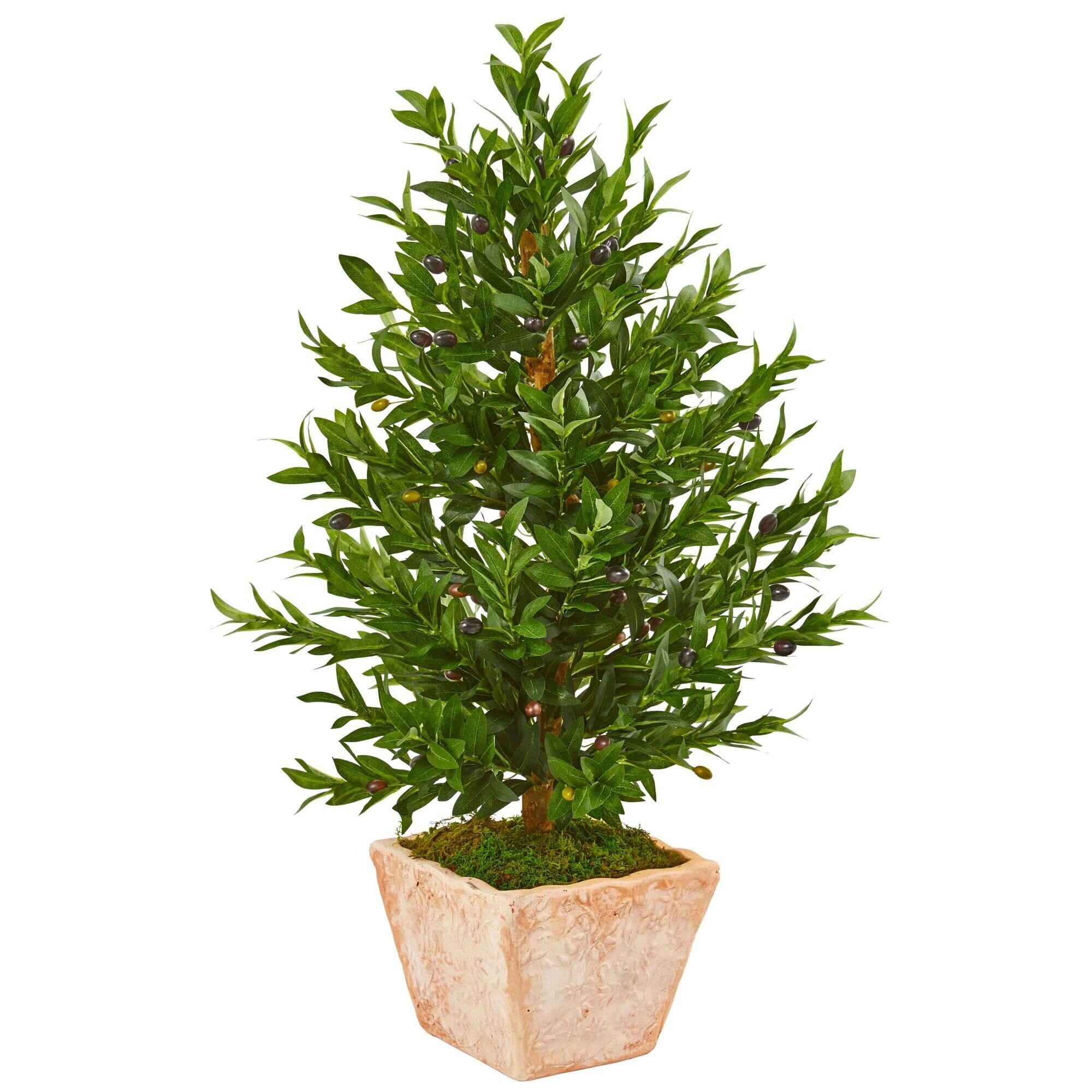 BreeBe - 35