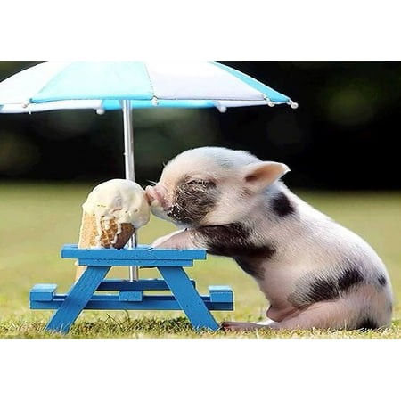 Jigsaw Puzzle for Adults  Pig Eating Ice Cream Whimsical Animal Scene  1000 Piece Premium Puzzle  Colorful and Humorous Art for Novelty Home Decor