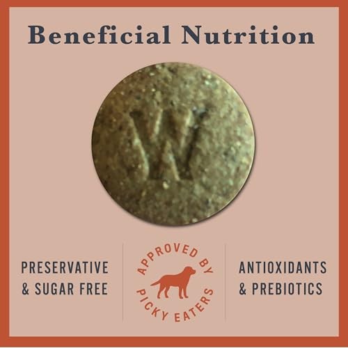 Withers & Withers Natural Dog Treats – Vegan Dog Treat with Turmeric, Vegan Chicken, Pumpkin & Sweet Potato 6 Oz, 100% Compostable Bag – Humane Pl thumbnail