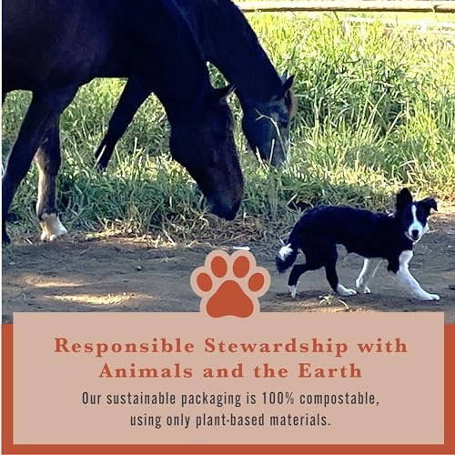 Withers & Withers Natural Dog Treats – Vegan Dog Treat with Turmeric, Vegan Chicken, Pumpkin & Sweet Potato 6 Oz, 100% Compostable Bag – Humane Pl thumbnail