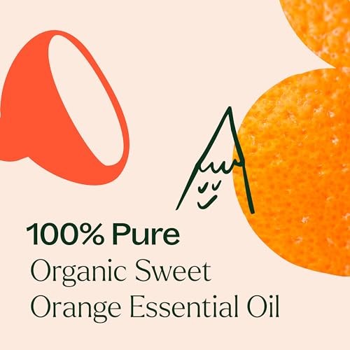 Plant Therapy Sweet Orange Organic Essential Oil 100% Pure, USDA Certified Organic, Undiluted, Natural Aromatherapy, Therapeutic Grade 30 ML (1 Oz) thumbnail
