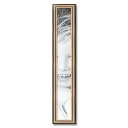 ArtToFrames 5  X 35  Anique Silver Picture Frame  5x35 Inch Silver Wood Poster Frame (WOM-4964)