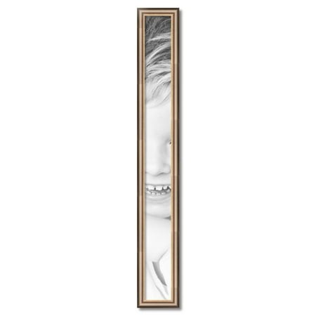 ArtToFrames 5  X 49  Anique Silver Picture Frame  5x49 Inch Silver Wood Poster Frame (WOM-4964)