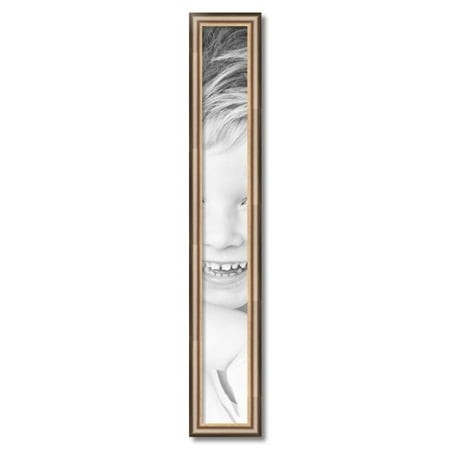ArtToFrames 5  X 40  Anique Silver Picture Frame  5x40 Inch Silver Wood Poster Frame (WOM-4964)
