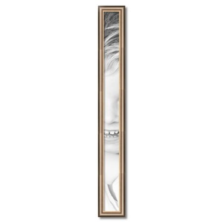 ArtToFrames 4  X 46  Anique Silver Picture Frame  4x46 Inch Silver Wood Poster Frame (WOM-4964)