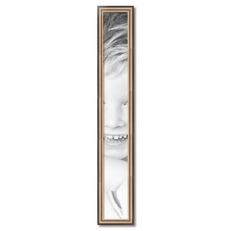 ArtToFrames 6  X 47  Anique Silver Picture Frame  6x47 Inch Silver Wood Poster Frame (WOM-4964)