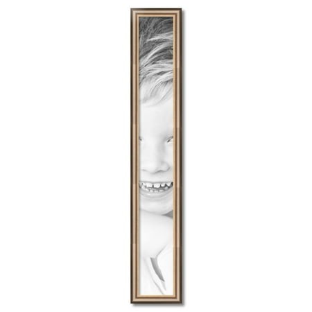 ArtToFrames 6  X 45  Anique Silver Picture Frame  6x45 Inch Silver Wood Poster Frame (WOM-4964)