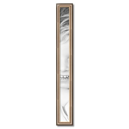 ArtToFrames 4  X 43  Anique Silver Picture Frame  4x43 Inch Silver Wood Poster Frame (WOM-4964)