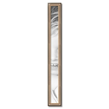ArtToFrames 4  X 45  Anique Silver Picture Frame  4x45 Inch Silver Wood Poster Frame (WOM-4964)