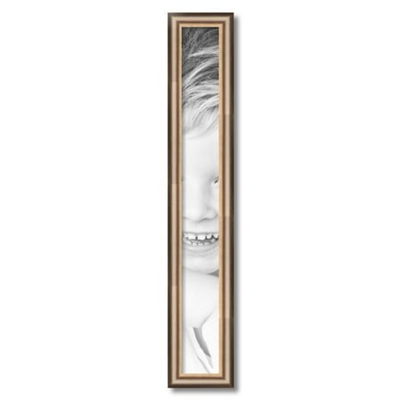ArtToFrames 4  X 33  Anique Silver Picture Frame  4x33 Inch Silver Wood Poster Frame (WOM-4964)
