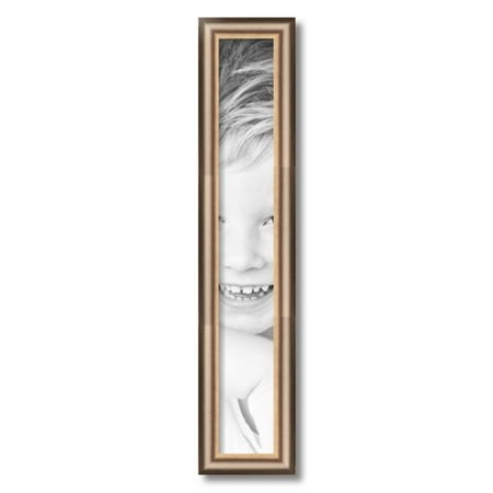 ArtToFrames 4  X 27  Anique Silver Picture Frame  4x27 Inch Silver Wood Poster Frame (WOM-4964)