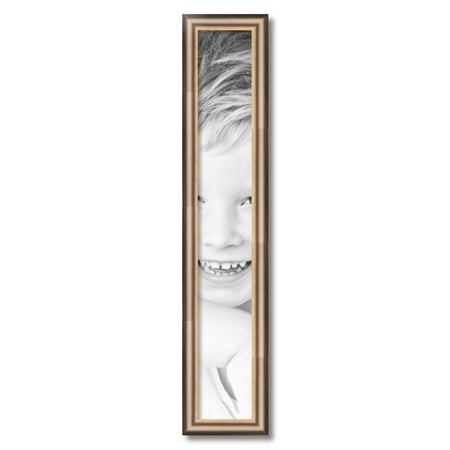 ArtToFrames 5  X 33  Anique Silver Picture Frame  5x33 Inch Silver Wood Poster Frame (WOM-4964)