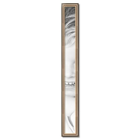 ArtToFrames 5  X 54  Anique Silver Picture Frame  5x54 Inch Silver Wood Poster Frame (WOM-4964)