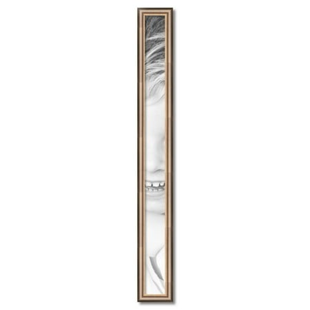 ArtToFrames 4  X 49  Anique Silver Picture Frame  4x49 Inch Silver Wood Poster Frame (WOM-4964)