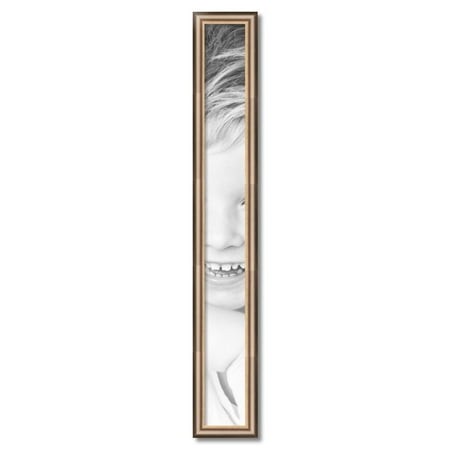 ArtToFrames 5  X 45  Anique Silver Picture Frame  5x45 Inch Silver Wood Poster Frame (WOM-4964)