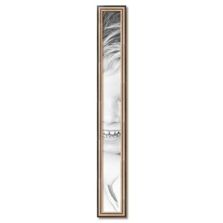 ArtToFrames 5  X 50  Anique Silver Picture Frame  5x50 Inch Silver Wood Poster Frame (WOM-4964)