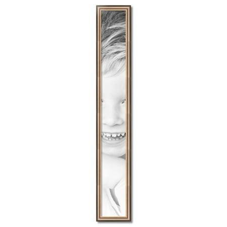 ArtToFrames 7  X 55  Anique Silver Picture Frame  7x55 Inch Silver Wood Poster Frame (WOM-4964)