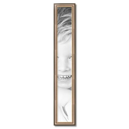 ArtToFrames 6  X 44  Anique Silver Picture Frame  6x44 Inch Silver Wood Poster Frame (WOM-4964)