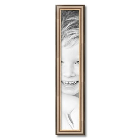 ArtToFrames 5x30  Anique Silver Picture Frame  Silver Wood Poster Frame  with Regular Acrylic and 2 (FBPL-4964)