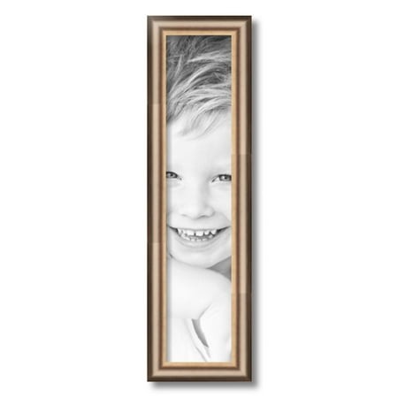 ArtToFrames 5x23  Anique Silver Picture Frame  Silver Wood Poster Frame  with Regular Acrylic and 2 (FBPL-4964)