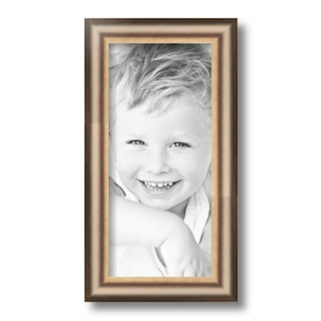 ArtToFrames 6x13  Anique Silver Picture Frame  Silver Wood Poster Frame  with Regular Glass and 2 (FBPL-4964)